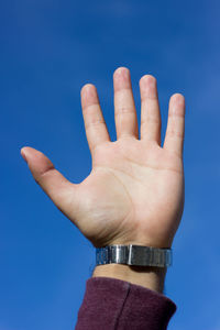 Close-up of human hand against sky