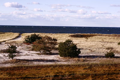Scenic view of sea against sky
