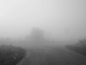 Scenic view of landscape in foggy weather