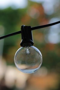 Close-up of wet light bulb on field