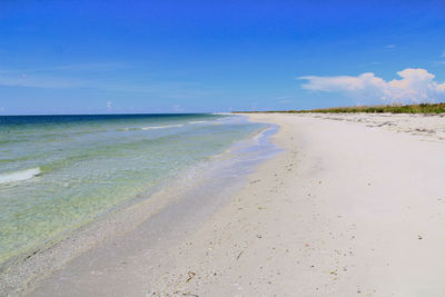 Scenic view of beach