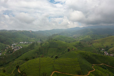 Aerial drone of tea estate in sri lanka. high mountain tea plantation. maskeliya.