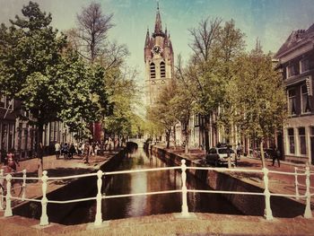 Trees against building