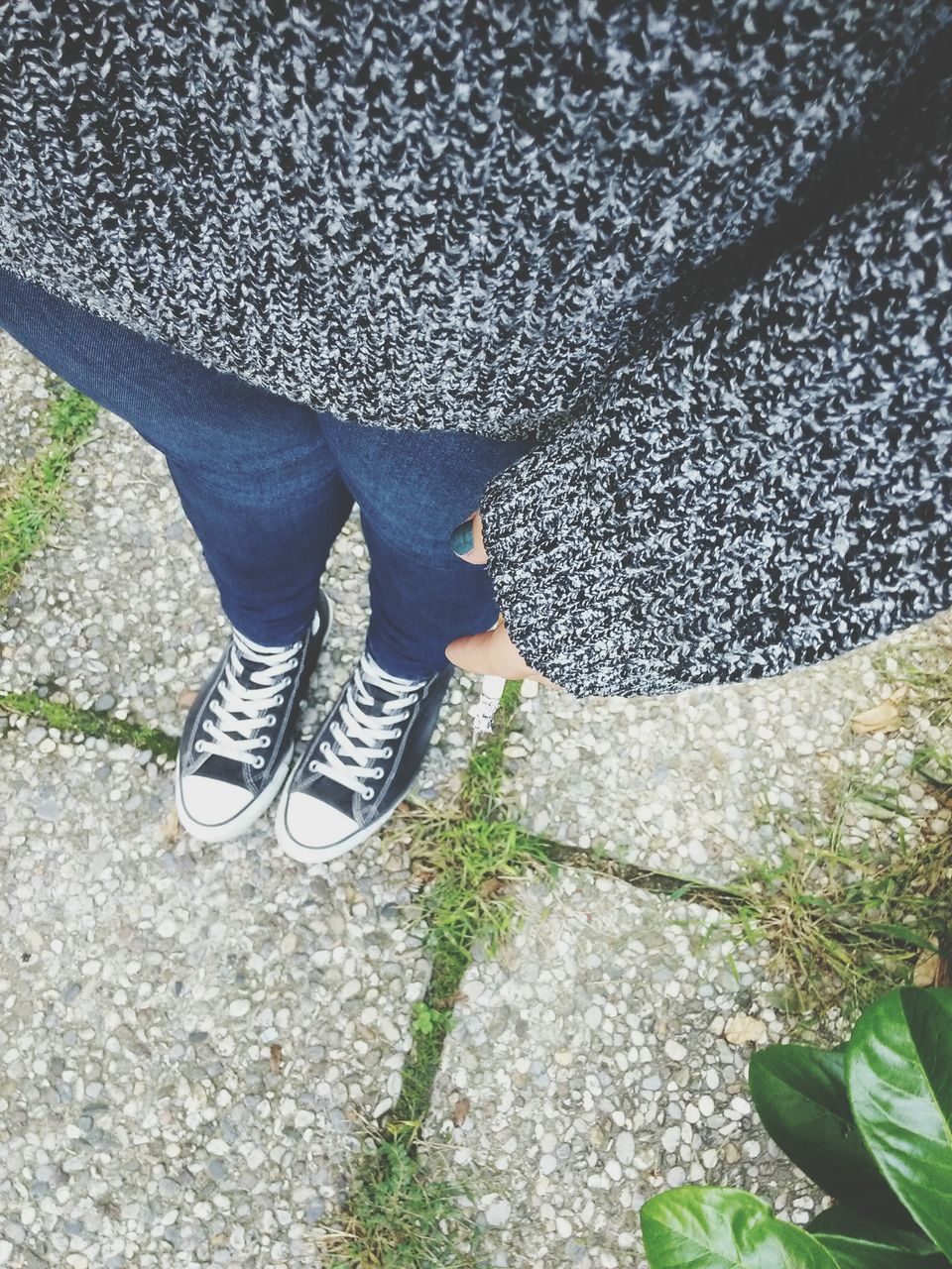 low section, person, shoe, standing, high angle view, lifestyles, leisure activity, footwear, sunlight, leaf, jeans, plant, outdoors, shadow, day, casual clothing, human foot, relaxation