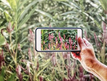 Man photographing with mobile phone