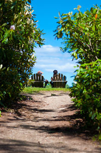 Walkway leading to building