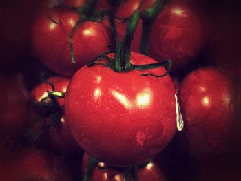 Close-up of red chili peppers