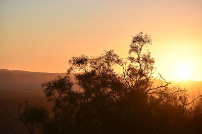 Silhouette tree against sky during sunset