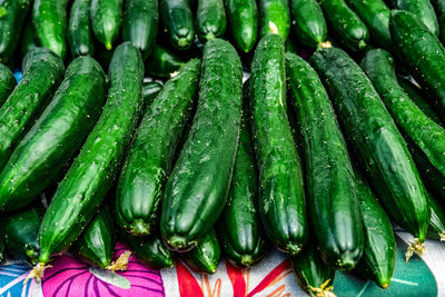 Rows of green japanese cucumbers on table at farmer's market in california