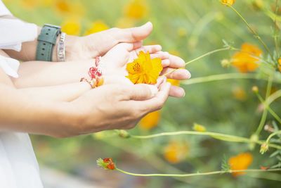 Cropped hand of woman holding flower