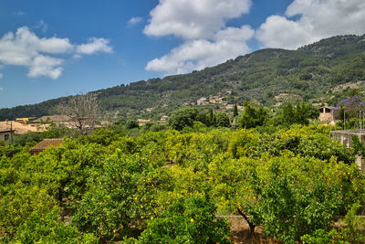 Scenic view of green landscape and mountains against sky