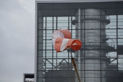 Close-up of red flower in front of building