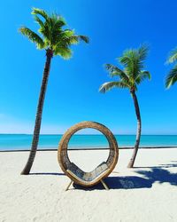 Palm trees on beach against sky