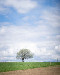 cloud