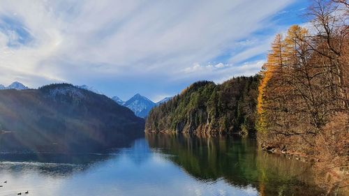 Scenic view of lake and the alps by trees against sky