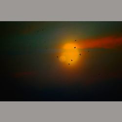 Silhouette birds flying against sky during sunset