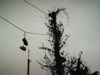 Low angle view of silhouette bird perching on cable against sky