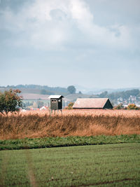 Scenic view of agricultural field against sky