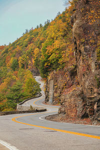 Road amidst trees during autumn