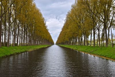 Scenic view of lake amidst trees against sky