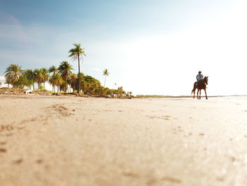 View of people on beach