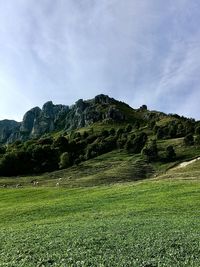 Scenic view of field against sky