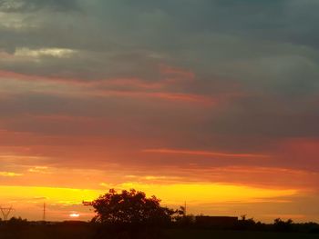 Silhouette trees against dramatic sky during sunset