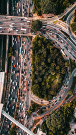 Directly above shot of traffic on highways by forest