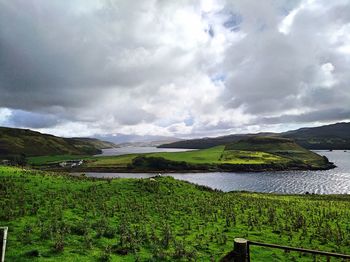 Scenic view of field against sky