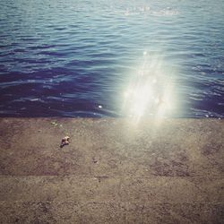 High angle view of ducks in lake