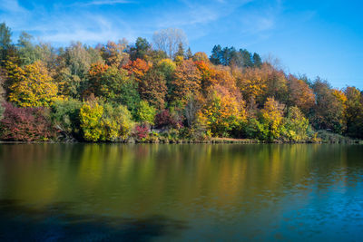 Scenic view of lake by trees during autumn