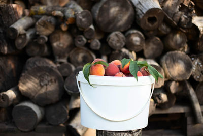 Ripe harvested farm peaches in a bucket in the garden stand against the felled trees.