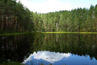 Scenic view of lake by trees against sky