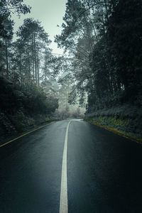 Empty road amidst trees in forest