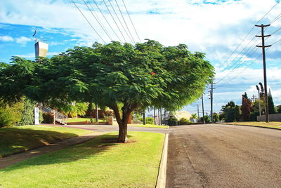 Trees growing in farm against sky