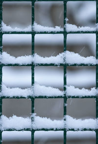Full frame shot of snow covered plants