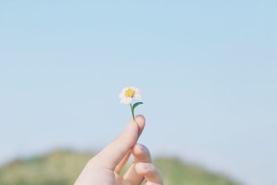 Close-up of hand holding flower against clear sky