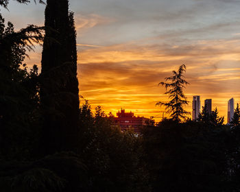Silhouette trees and buildings against sky during sunset