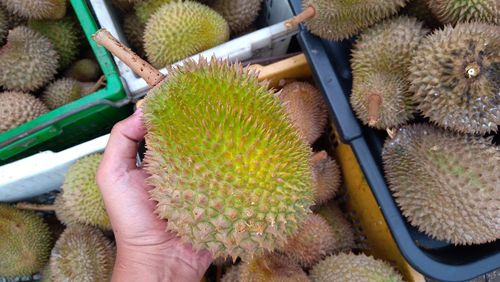 High angle view of hand holding fruits at market