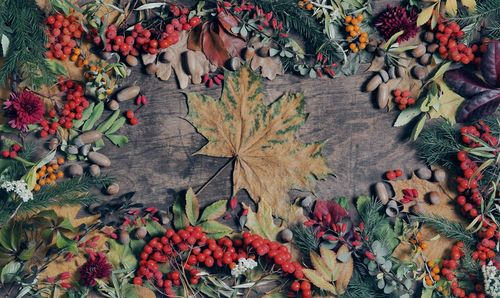 Place for text. autumn wooden background, where there are a lot of dry leaves, berries, flowers 