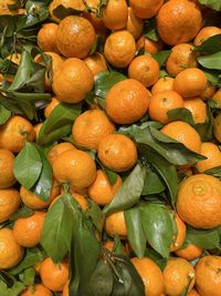 Full frame shot of oranges