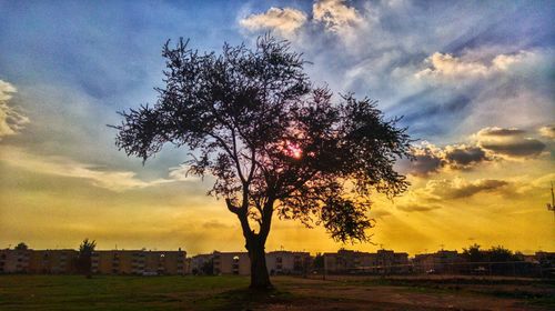 Scenic view of field against cloudy sky