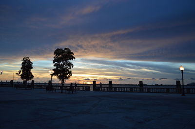 Silhouette trees on beach against sky during sunset