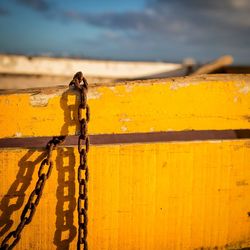 Close-up of yellow insect on wood against sky