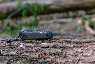 Close-up of shoes on retaining wall