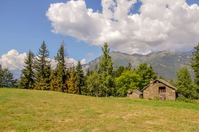 Panoramic shot of trees on field against sky