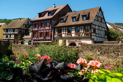 Flowering plants and houses against sky