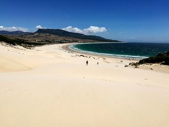 Scenic shot of calm beach