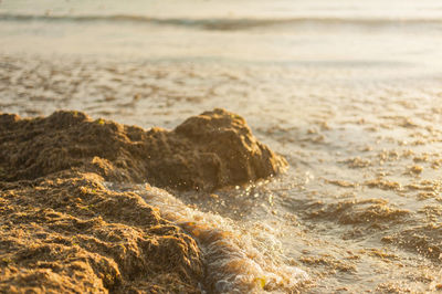 Water flowing through rocks on beach