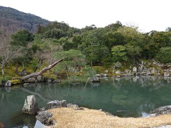 Scenic view of lake by trees against sky